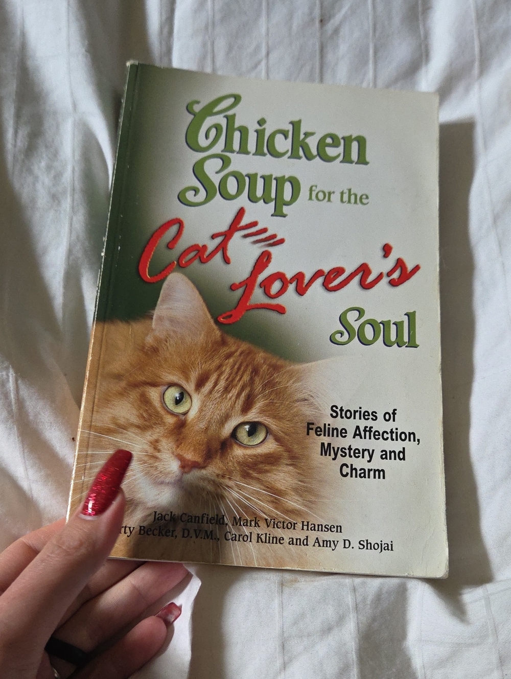 Chicken Soup for the Cat Lover's Soul - White/Green Cover